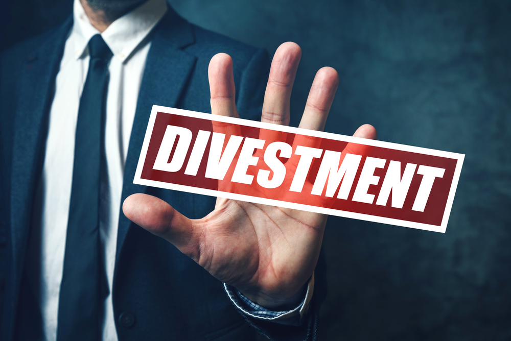 Markets Rally On Divestment Plans, Spending Thrust