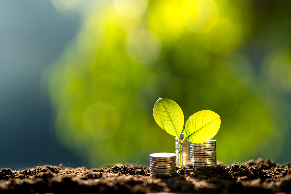 Sustainable Finance Through Green Bonds